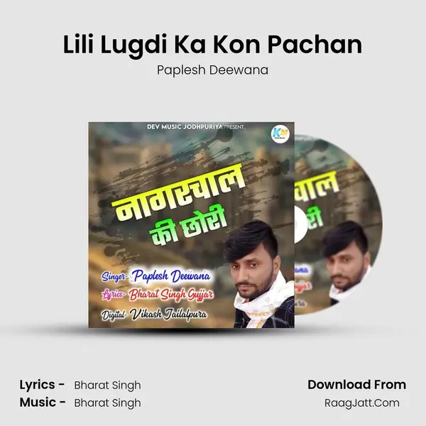 Lili Lugdi Ka Kon Pachan MP3 Song by Paplesh Deewana Cover