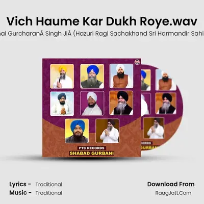 Vich Haume Kar Dukh Roye.wav Cover