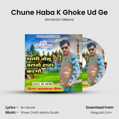 Chune Haba K Ghoke Ud Ge MP3 Song by Atmaram Meena Cover