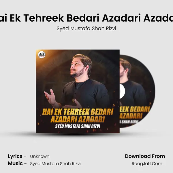 Hai Ek Tehreek Bedari Azadari Azadari mp3 song