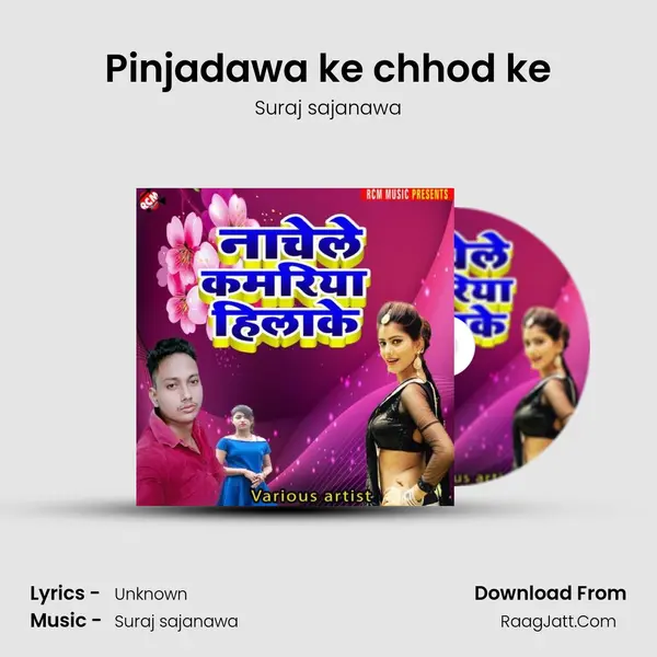 Pinjadawa ke chhod ke MP3 Song by Suraj sajanawa Cover