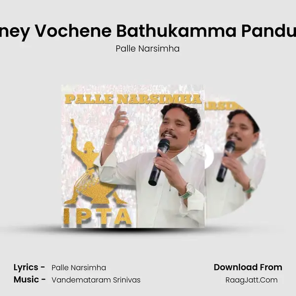 Raney Vochene Bathukamma Panduga mp3 song