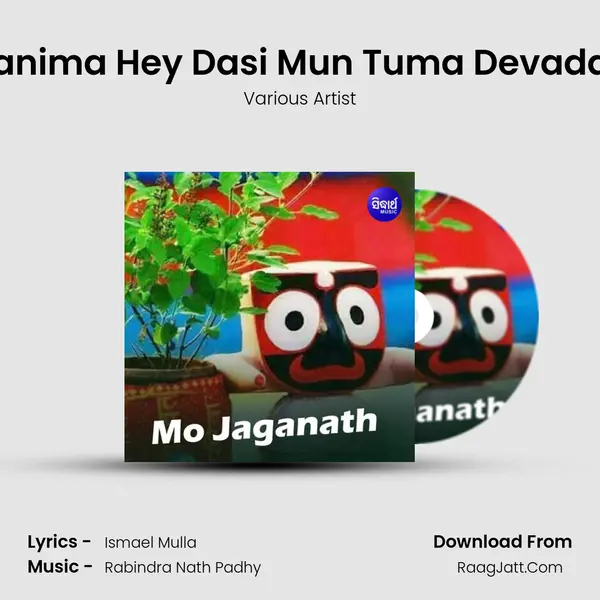 Manima Hey Dasi Mun Tuma Devadasi MP3 Song by Various Artist Cover