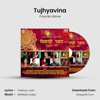 Tujhyavina Cover