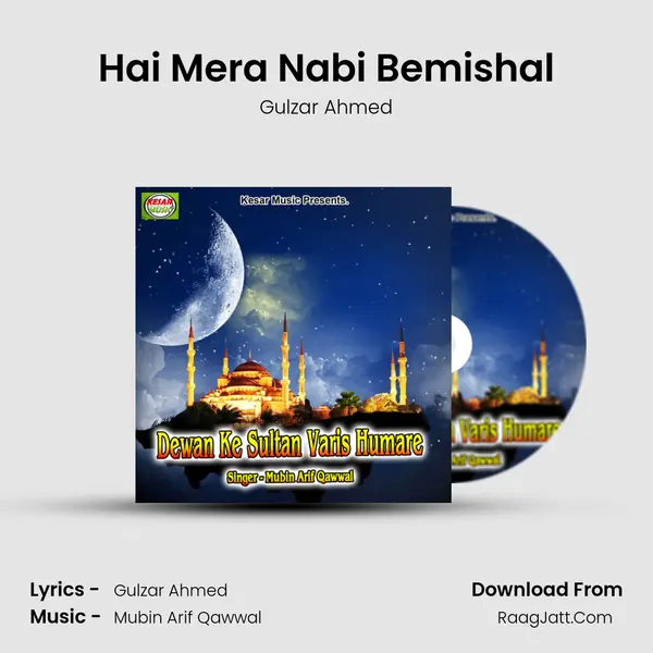 Hai Mera Nabi Bemishal MP3 Song by Gulzar Ahmed Cover