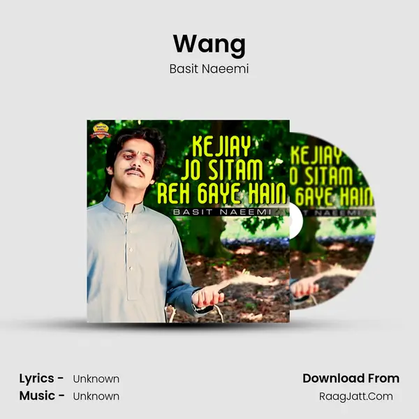 Wang MP3 Song by Basit Naeemi Cover
