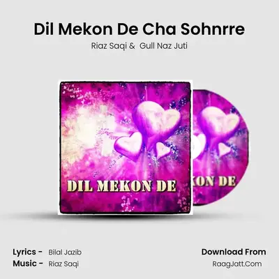 Dil Mekon De Cha Sohnrre MP3 Song by Riaz Saqi Cover