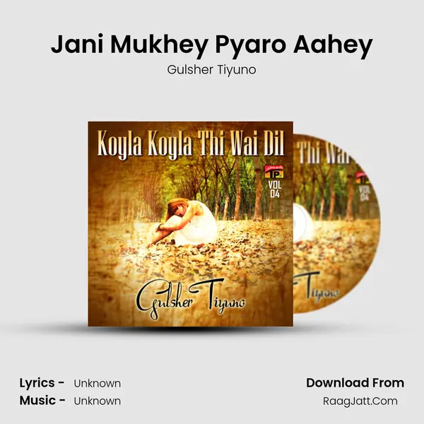 Jani Mukhey Pyaro Aahey MP3 Song by Gulsher Tiyuno Cover