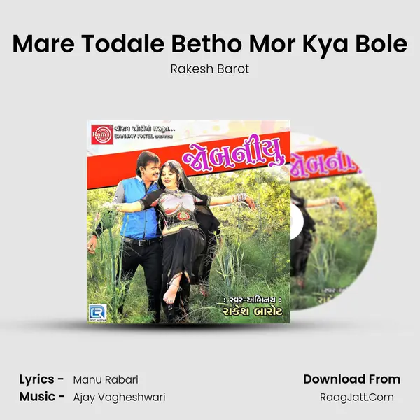 Mare Todale Betho Mor Kya Bole MP3 Song by Rakesh Barot Cover