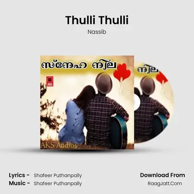 Thulli Thulli MP3 Song by Nassib Cover