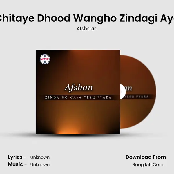 Chitaye Dhood Wangho Zindagi Aye MP3 Song by Afshaan Cover
