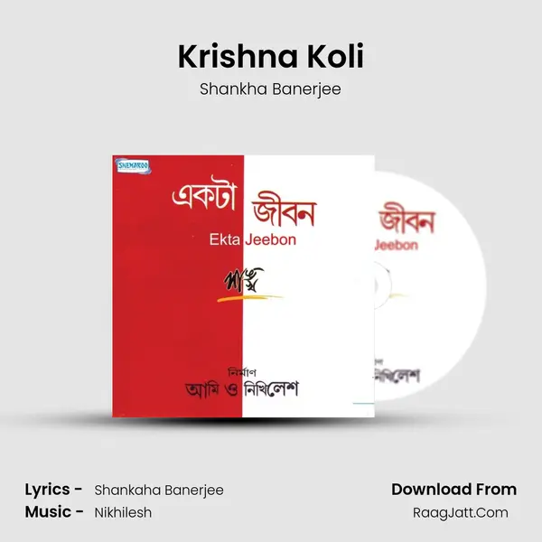 Krishna Koli MP3 Song by Shankha Banerjee Cover
