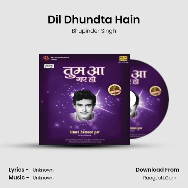 Dil Dhundta Hain Cover