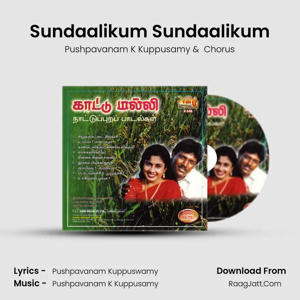 Sundaalikum Sundaalikum MP3 Song by Pushpavanam K Kuppusamy Cover