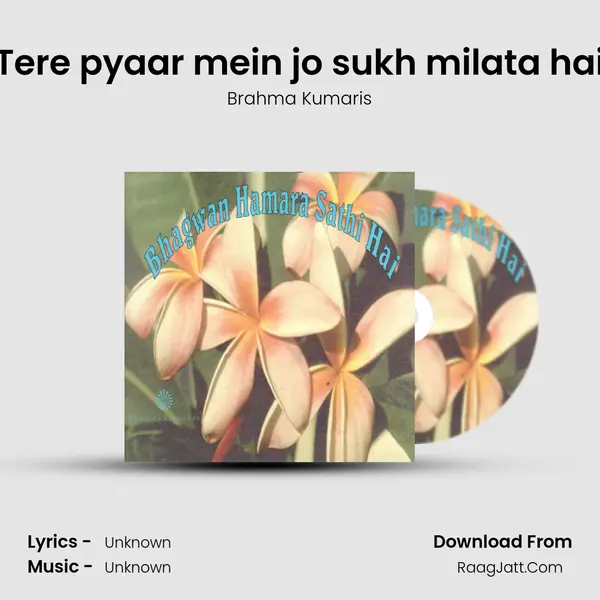 Tere pyaar mein jo sukh milata hai MP3 Song by Brahma Kumaris Cover