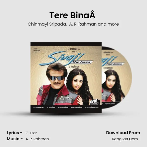 Tere BinaÂ  MP3 Song by Chinmayi Sripada Cover