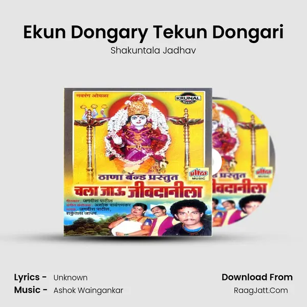 Ekun Dongary Tekun Dongari MP3 Song by Shakuntala Jadhav Cover