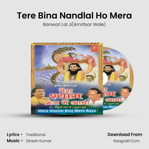 Tere Bina Nandlal Ho Mera mp3 song