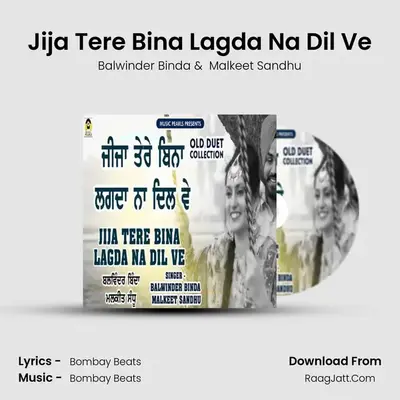 Jija Tere Bina Lagda Na Dil Ve mp3 song