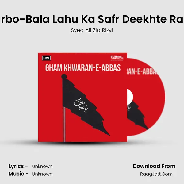 Karbo-Bala Lahu Ka Safr Deekhte Rahe MP3 Song by Syed Ali Zia Rizvi Cover