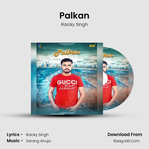 Palkan MP3 Song by Raicky Singh Cover