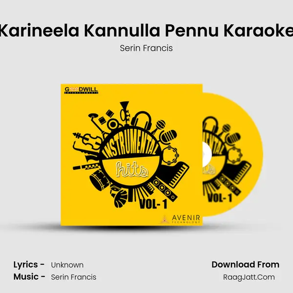 Karineela Kannulla Pennu Karaoke MP3 Song by Serin Francis Cover