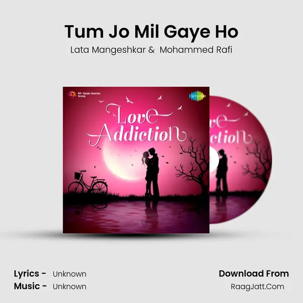 Tum Jo Mil Gaye Ho Cover
