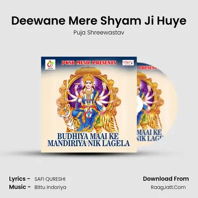 Deewane Mere Shyam Ji Huye MP3 Song by Puja Shreewastav Cover