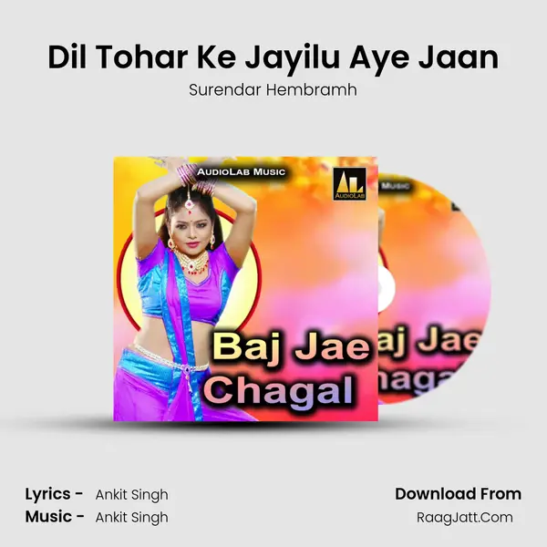 Dil Tohar Ke Jayilu Aye Jaan Cover