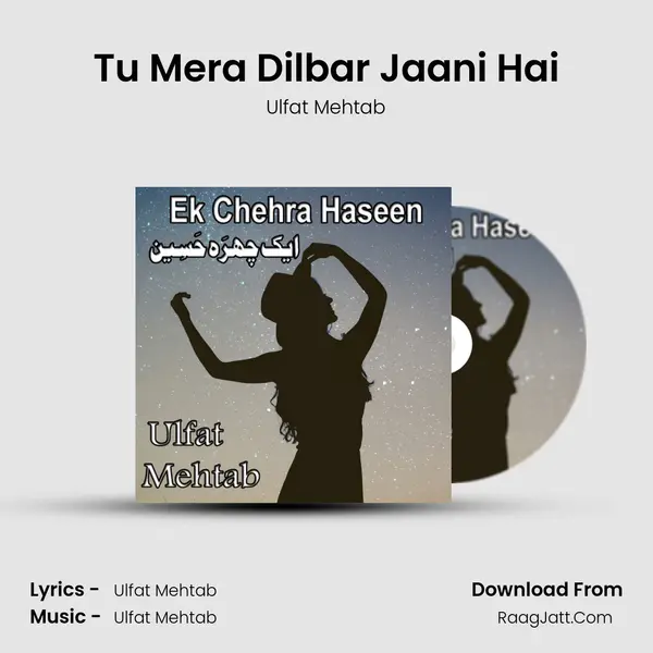 Tu Mera Dilbar Jaani Hai MP3 Song by Ulfat Mehtab Cover