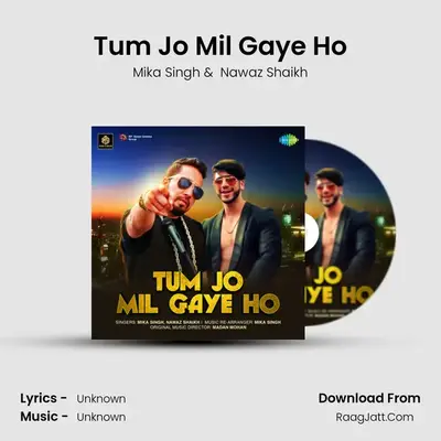 Tum Jo Mil Gaye Ho Cover