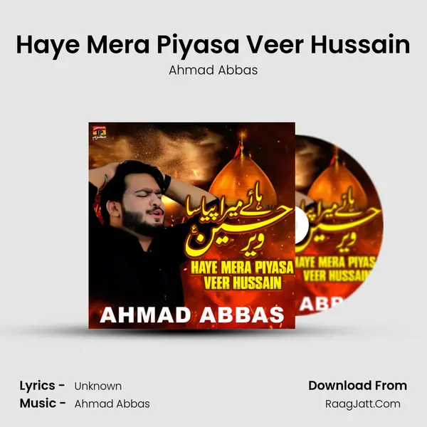 Haye Mera Piyasa Veer Hussain mp3 song