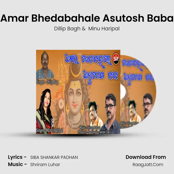 Amar Bhedabahale Asutosh Baba - Dillip Bagh