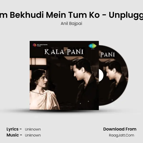 Hum Bekhudi Mein Tum Ko - Unplugged MP3 Song by Anil Bajpai Cover