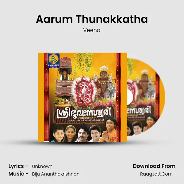 Aarum Thunakkatha MP3 Song by Veena Cover