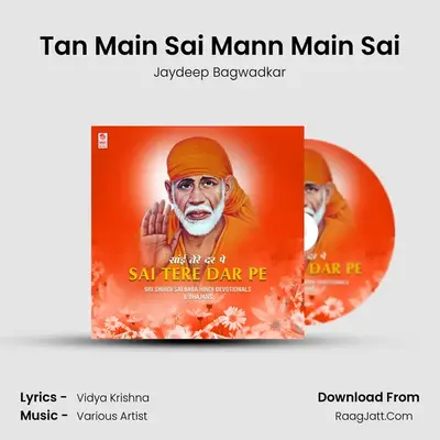 Tan Main Sai Mann Main Sai mp3 song