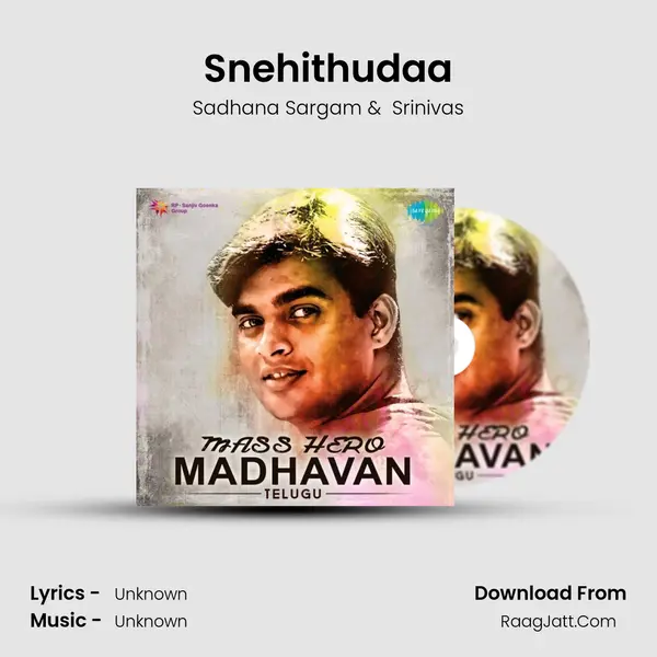 Snehithudaa Cover