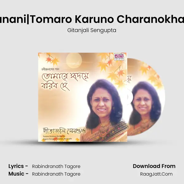 Janani|Tomaro Karuno Charanokhani MP3 Song by Gitanjali Sengupta Cover