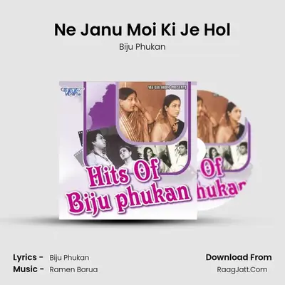 Ne Janu Moi Ki Je Hol MP3 Song by Biju Phukan Cover