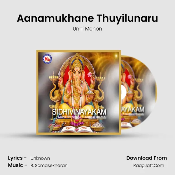 Aanamukhane Thuyilunaru MP3 Song by Unni Menon Cover