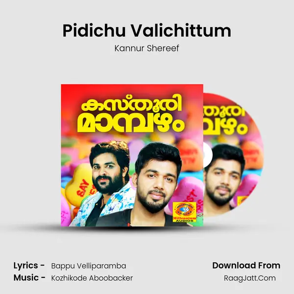 Pidichu Valichittum MP3 Song by Kannur Shereef Cover