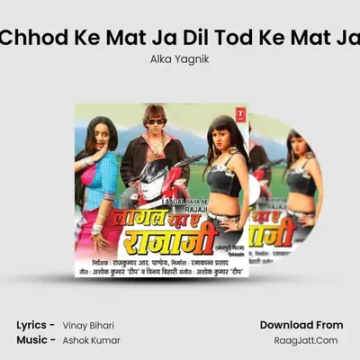 Chhod Ke Mat Ja Dil Tod Ke Mat Ja MP3 Song by Alka Yagnik Cover