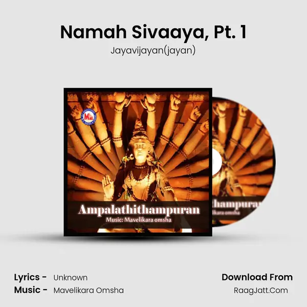 Namah Sivaaya, Pt. 1 MP3 Song by Jayavijayan(jayan) Cover