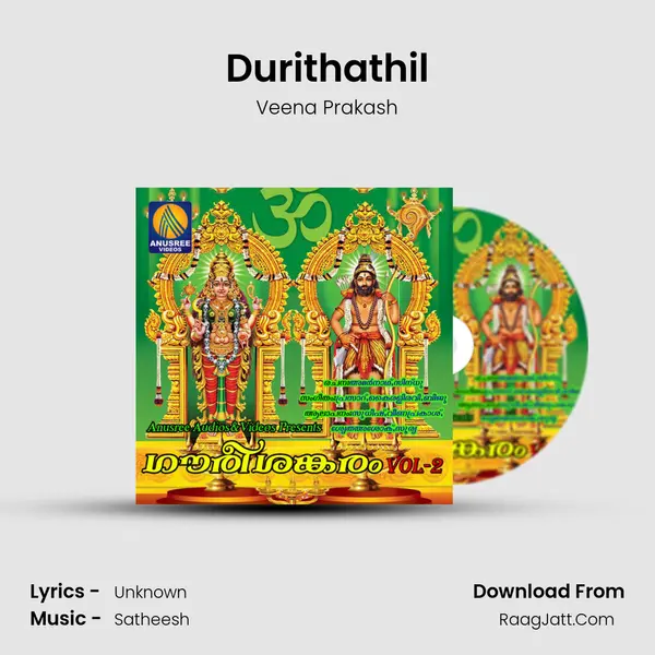 Durithathil MP3 Song by Veena Prakash Cover