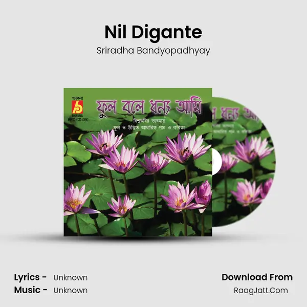 Nil Digante MP3 Song by Sriradha Bandyopadhyay Cover