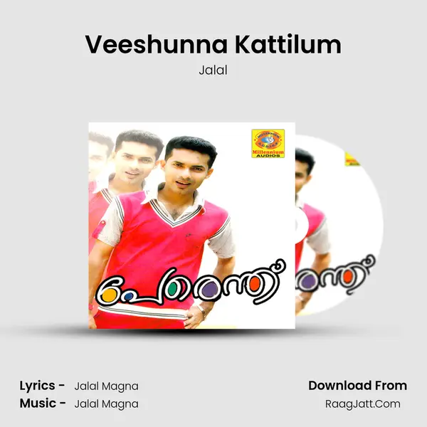 Veeshunna Kattilum MP3 Song by Jalal Cover