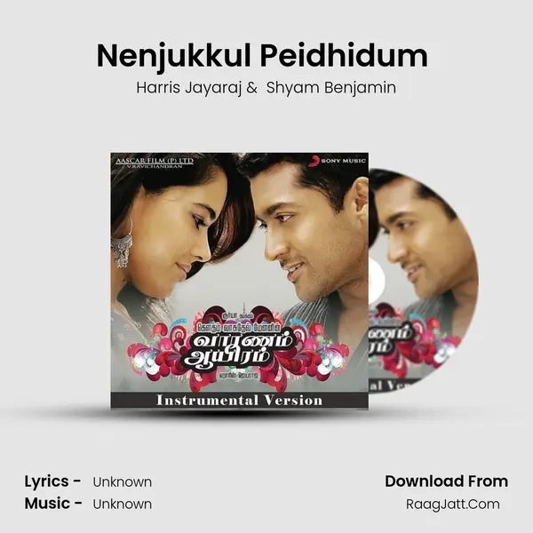 Nenjukkul Peidhidum (Instrumental) MP3 Song by Harris Jayaraj Cover