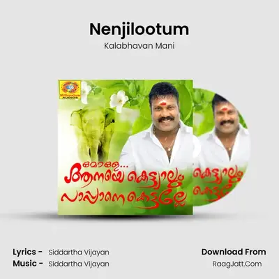 Nenjilootum MP3 Song by Kalabhavan Mani Cover