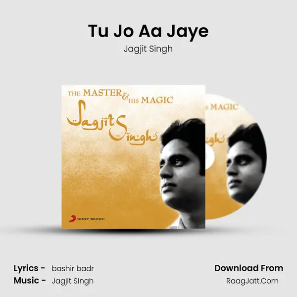 Tu Jo Aa Jaye MP3 Song by Jagjit Singh Cover