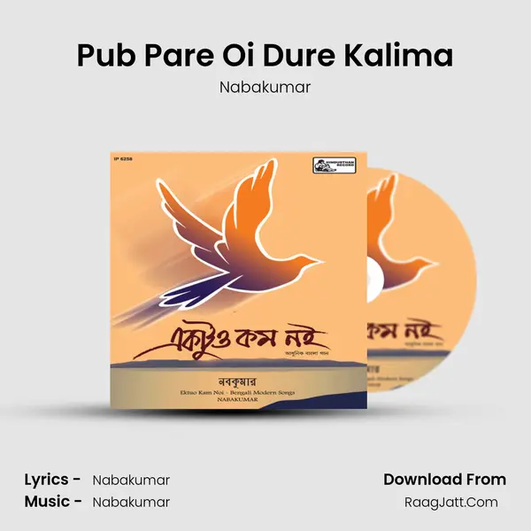 Pub Pare Oi Dure Kalima MP3 Song by Nabakumar Cover